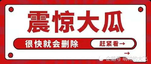 娱乐圈八卦每日吃瓜汇总